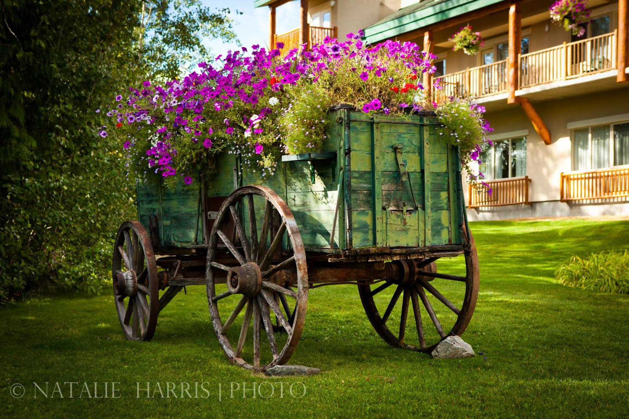 Coast Hillcrest Hotel Revelstoke Luaran gambar
